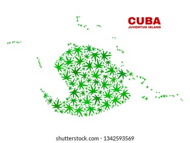 Vector marijuana Juventud Island map collage. Concept with green weed leaves for marijuana legalize campaign. Vector Juventud Island map is created from weed leaves.