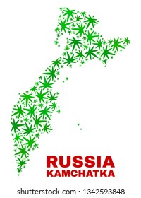 Vector marijuana Kamchatka map collage. Template with green weed leaves for cannabis legalize campaign. Vector Kamchatka map is created with cannabis leaves.