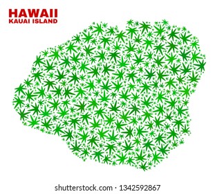 Vector marijuana Kauai Island map collage. Concept with green weed leaves for marijuana legalize campaign. Vector Kauai Island map is organized with weed leaves.
