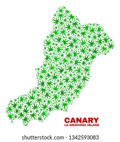 Vector marijuana La Graciosa Island map mosaic. Template with green weed leaves for marijuana legalize campaign. Vector La Graciosa Island map is constructed with marijuana leaves.
