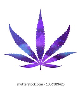 purple weed leaves