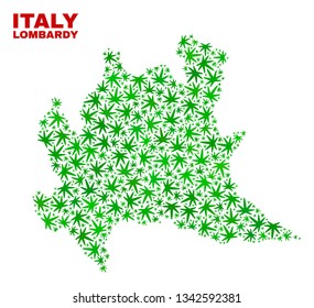 Vector marijuana Lombardy region map collage. Template with green weed leaves for marijuana legalize campaign. Vector Lombardy region map is created of weed leaves.