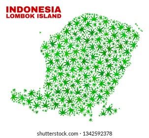 Vector marijuana Lombok Island map collage. Concept with green weed leaves for weed legalize campaign. Vector Lombok Island map is formed with marijuana leaves.