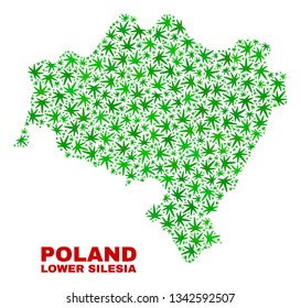 Vector marijuana Lower Silesian Voivodeship map collage. Template with green weed leaves for marijuana legalize campaign. Vector Lower Silesian Voivodeship map is created with herbal leaves.