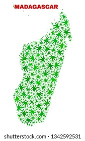 Vector marijuana Madagascar Island map collage. Concept with green weed leaves for weed legalize campaign. Vector Madagascar Island map is constructed with weed leaves.