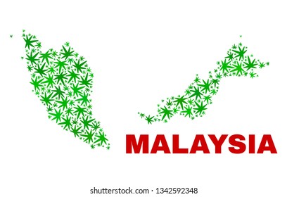 Vector marijuana Malaysia map mosaic. Template with green weed leaves for marijuana legalize campaign. Vector Malaysia map is constructed with marijuana leaves.