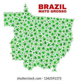 Vector marijuana Mato Grosso State map mosaic. Template with green weed leaves for weed legalize campaign. Vector Mato Grosso State map is designed with marijuana leaves.