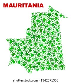 Vector marijuana Mauritania map mosaic. Concept with green weed leaves for weed legalize campaign. Vector Mauritania map is designed with marijuana leaves.