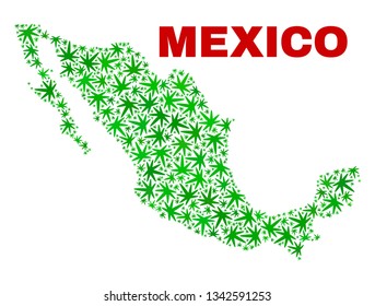 Vector marijuana Mexico map mosaic. Template with green weed leaves for weed legalize campaign. Vector Mexico map is organized with marijuana leaves.