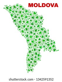 Vector marijuana Moldova map collage. Concept with green weed leaves for weed legalize campaign. Vector Moldova map is created with marijuana leaves.