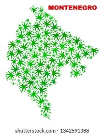 Vector marijuana Montenegro map mosaic. Concept with green weed leaves for weed legalize campaign. Vector Montenegro map is constructed with ganja leaves.