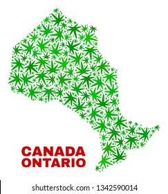 Vector marijuana Ontario Province map collage. Concept with green weed leaves for weed legalize campaign. Vector Ontario Province map is created of weed leaves.