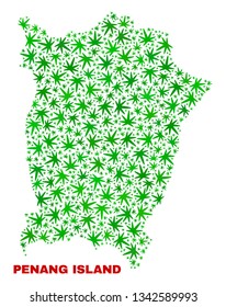 Vector marijuana Penang Island map collage. Concept with green weed leaves for marijuana legalize campaign. Vector Penang Island map is organized with herbal leaves.