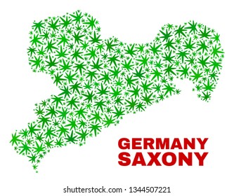 Vector marijuana Saxony Land map mosaic. Template with green weed leaves for weed legalize campaign. Vector Saxony Land map is constructed with marijuana leaves.
