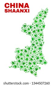 Vector marijuana Shaanxi Province map collage. Concept with green weed leaves for hemp legalize campaign. Vector Shaanxi Province map is composed with marijuana leaves.