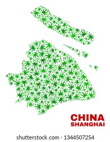 Vector marijuana Shanghai City map mosaic. Concept with green weed leaves for weed legalize campaign. Vector Shanghai City map is created with weed leaves.