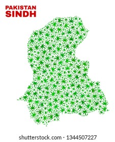 Vector marijuana Sindh Province map collage. Template with green weed leaves for marijuana legalize campaign. Vector Sindh Province map is designed of weed leaves.