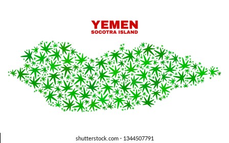 Vector marijuana Socotra Island map collage. Concept with green weed leaves for weed legalize campaign. Vector Socotra Island map is created with marijuana leaves.