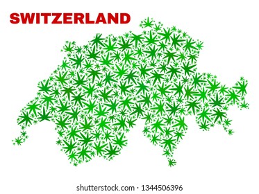 Vector marijuana Switzerland map collage. Template with green weed leaves for marijuana legalize campaign. Vector Switzerland map is constructed with marijuana leaves.