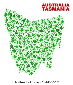 Vector marijuana Tasmania Island map collage. Concept with green weed leaves for weed legalize campaign. Vector Tasmania Island map is organized with herbal leaves.