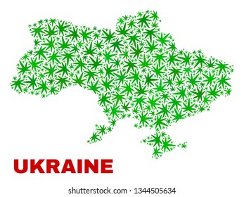 Vector marijuana Ukraine map collage. Concept with green weed leaves for marijuana legalize campaign. Vector Ukraine map is designed with marijuana leaves.