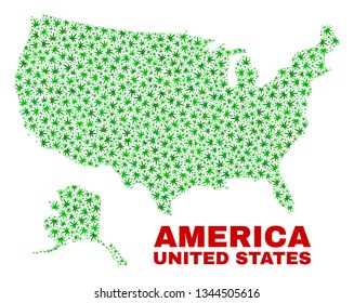 Vector marijuana USA with Alaska map collage. Concept with green weed leaves for marijuana legalize campaign. Vector USA with Alaska map is composed with weed leaves.