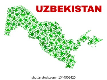 Vector marijuana Uzbekistan map mosaic. Concept with green weed leaves for marijuana legalize campaign. Vector Uzbekistan map is composed with weed leaves.