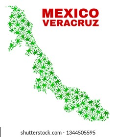 Vector marijuana Veracruz State map mosaic. Template with green weed leaves for weed legalize campaign. Vector Veracruz State map is designed with ganja leaves.