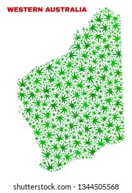 Vector marijuana Western Australia map collage. Concept with green weed leaves for marijuana legalize campaign. Vector Western Australia map is constructed with weed leaves.