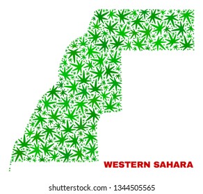 Vector marijuana Western Sahara map mosaic. Concept with green weed leaves for weed legalize campaign. Vector Western Sahara map is formed with marijuana leaves.