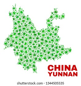 Vector marijuana Yunnan Province map collage. Concept with green weed leaves for marijuana legalize campaign. Vector Yunnan Province map is designed with marijuana leaves.