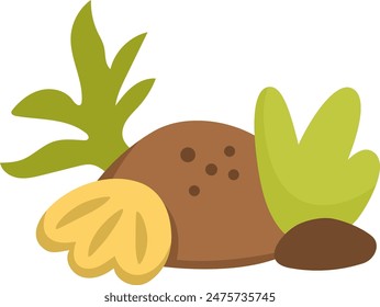 Composición marina de Vector con roca, algas, concha, plantas marinas, arena. Concepto de tierra de sirenas. Decoración de la naturaleza de la vida del océano o del mar aislada sobre fondo blanco

