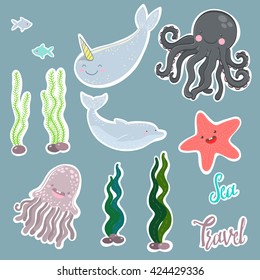 vector marine elements. animals and algae. jellyfish, dolphin, octopus, starfish and narwhal