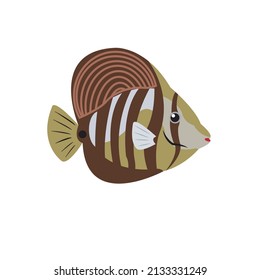 Vector de peces marinos sobre fondo blanco.