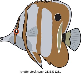 Vector of marine fish on white background.