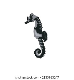 Vector of marine fish on white background.