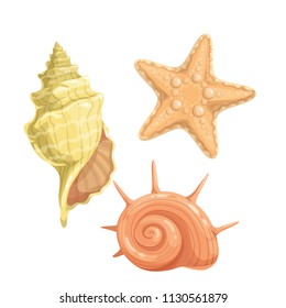 Vector marine seashells icon. Illustration in cartoon style.