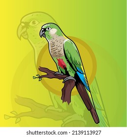 Vector Maroon Bellied Conure Colorfull Illustration  Mascot Bird Parrot