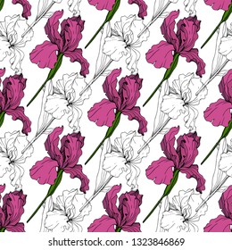 Vector Maroon Iris floral botanical flower. Wild spring leaf wildflower isolated. Engraved ink art. Seamless background pattern. Fabric wallpaper print texture.