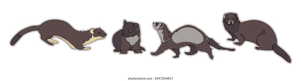 Vector martens, armiño y hurón aislados sobre fondo blanco.