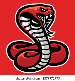 vector of mascot of aggressive cobra snake