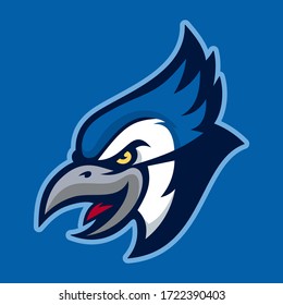Vector mascot, cartoon, and illustration of a angry blue jay head