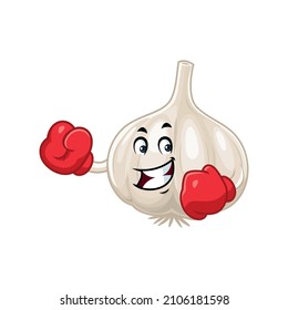 Vector mascot, cartoon and illustration of a garlic wearing boxing gloves