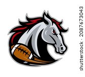 Vector mascot, cartoon and illustration of a horse head for american football team