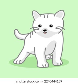 Vector mascot cat ilustration animal