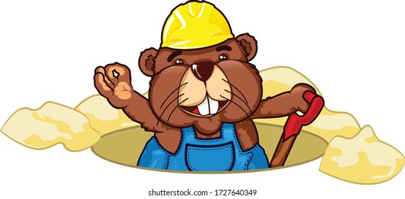 vector mascot illustration beaver digs a holes