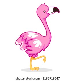 vector mascot illustration cute pink flamingo