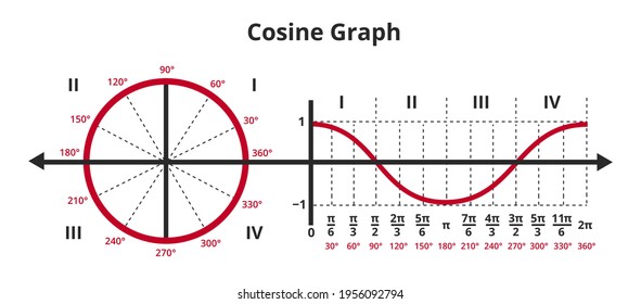 Vector mathematical illustration of cosine curve in graph or chart and unit circle showing cosine graph. Gonometric or goniometric function. The icon is isolated on white. Sine function, y=cos x.