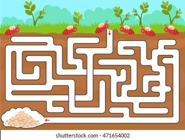 Vector maze game with find ant room in underground