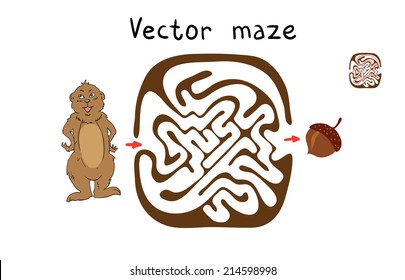 Vector Maze, Labyrinth education Game for Children with Marmot and Nut.